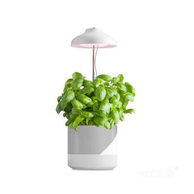 Lampa do roślin LED VERDI 5W