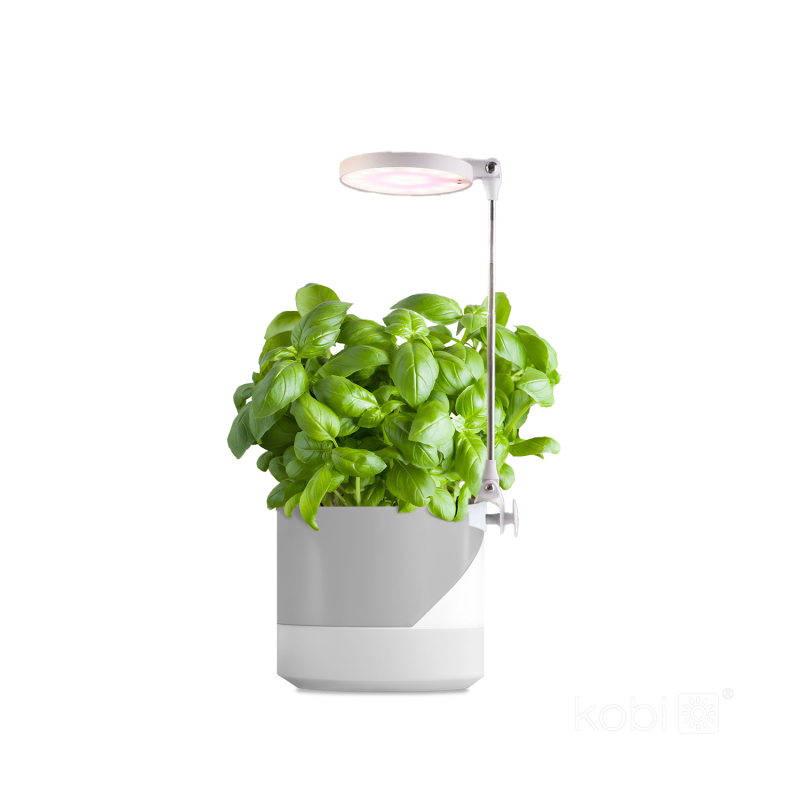 Lampa do roślin LED VERDI 10W