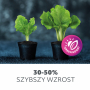 Żarówka do roślin LED PLANTY FGS 8W E27