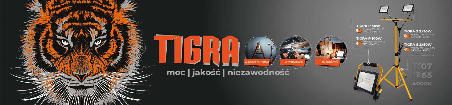 Tigra_pl